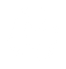 Partner logo 29