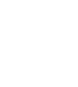 Partner logo 21