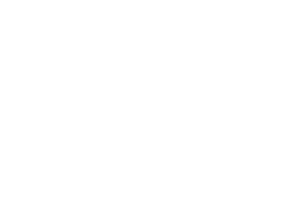 Partner logo 4