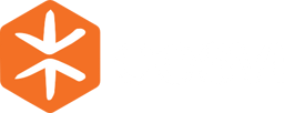 Cesvi